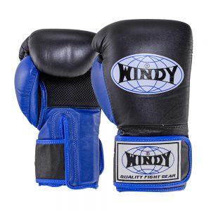 ClimaCool Boxing Gloves Black-Blue